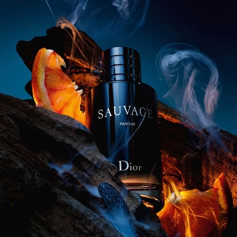 nocibé sauvage dior|dior sauvage boisée.